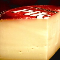 Gouda